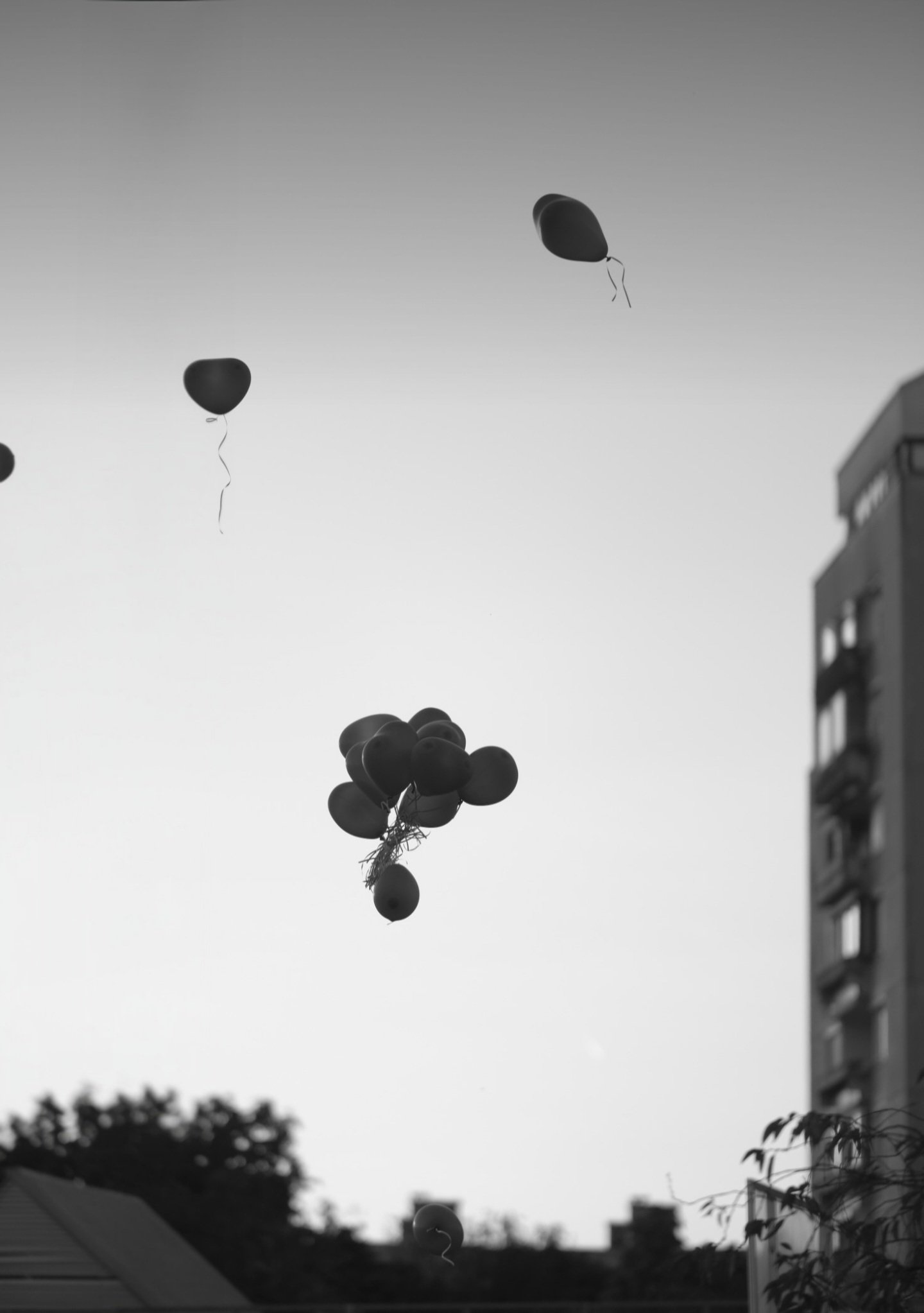 Read more about the article “Mom, I was born for greatness!”